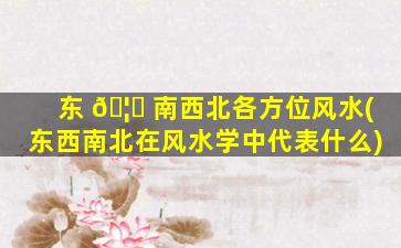 东 🦍 南西北各方位风水(东西南北在风水学中代表什么)